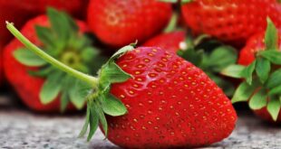 Recetas de postres con frutas: opciones refrescantes y deliciosas