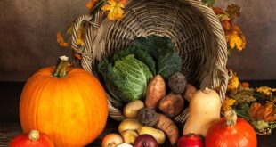 Consejos para cocinar platos con alimentos ricos en antioxidantes y retrasar el envejecimiento